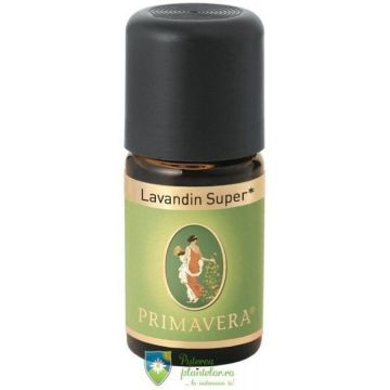 Ulei Esential Lavanda hibrida 10 ml