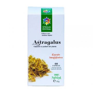 Astragalus 500mg, 60 capsule | Steaua Divină