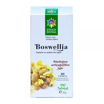 Boswellia 500mg, 60 capsule | Steaua Divină