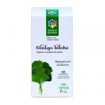 Ginkgo Biloba 500mg, 60 capsule | Steaua Divină