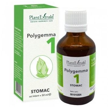 POLYGEMMA Nr.1 (Stomac), 50ml | Plantextrakt