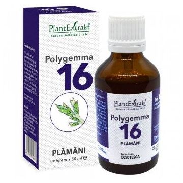 POLYGEMMA Nr.16 (Plămăni - Detoxifiere), 50ml | Plantextrakt