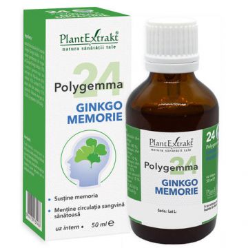 POLYGEMMA Nr. 24 (Ginkgo Memorie), 50ml | Plantextrakt