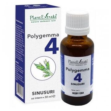 POLYGEMMA Nr.4 (Sinusuri), 30ml | Plantextrakt