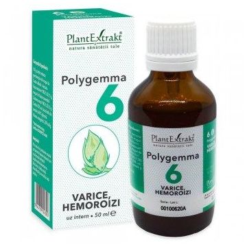 POLYGEMMA Nr.6 (Varice - Hemoroizi), 50ml | Plantextrakt