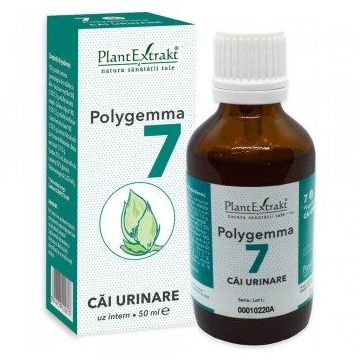 POLYGEMMA Nr.7 (Căi urinare), 50ml | Plantextrakt