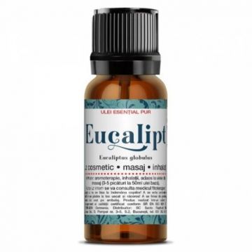 Ulei Esențial de Eucalipt, 10ml | Steaua Divină