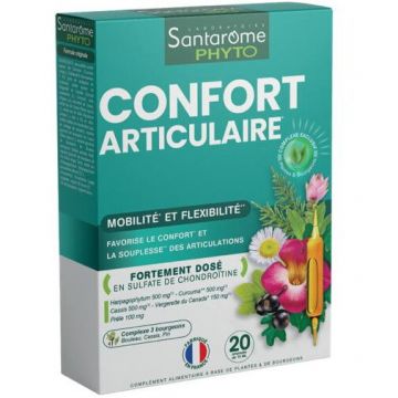 Confort articular 20 fiole