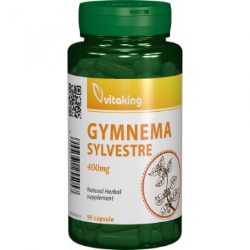 Gymnema Sylvestre 400mg - 90 capsule