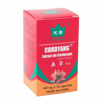 Cordyang 497 mg cordiceps extract, 30 capsule, Yongkang International China