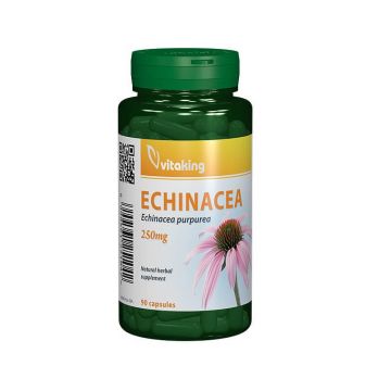 Extract de Echinacea 250 mg, 90 capsule, Vitaking