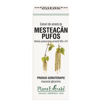 Extract din amenti de mesteacăn pufos, 50 ml, Plant Extrakt