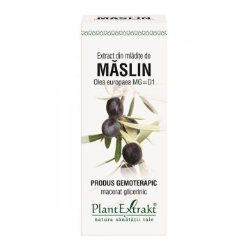 Extract din mlădițe de Măslin, 50 ml, Plant Extrakt