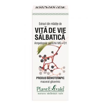 Extract din mlădițe de Viță de Vie Sălbatică, 50 ml, Plant Extrakt