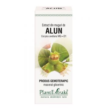 Extract din muguri de Alun, 50 ml, Plant Extrakt