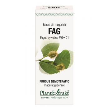 Extract din muguri de Fag, 50 ml, Plant Extrakt