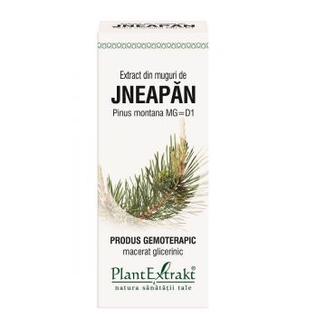 Extract din muguri de Jneapăn. 50 ml, Plant Extract