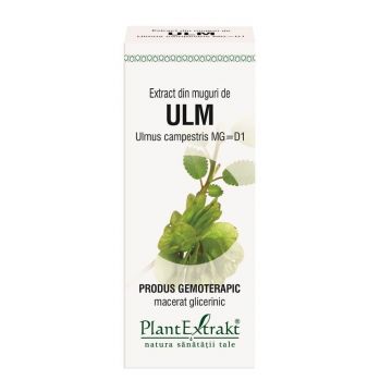 Extract din muguri de Ulm, 50 ml, Plant Extrakt