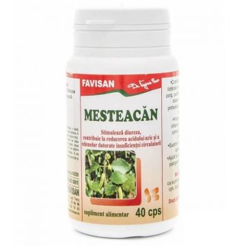 Mesteacan, 40 capsule, Favisan