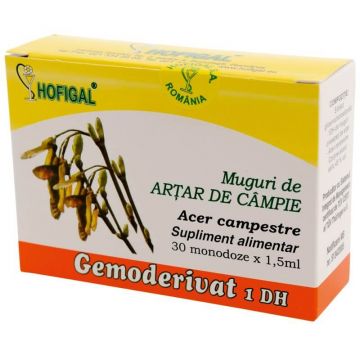 Muguri de Arțar de Câmpie Gemoderivat, 30 doze, Hofigal