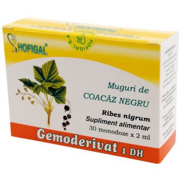 Muguri de Coacăz Negru Gemoderivat, 30 monodoze, Hofigal