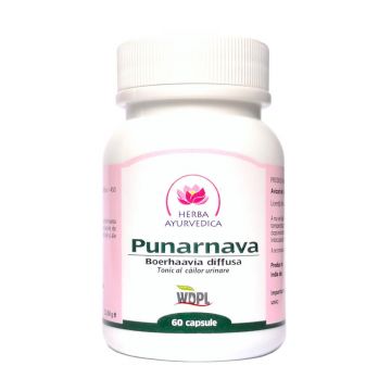 Punarnava, tonic al cailor urinare, 60 capsule, Herba Ayurvedica