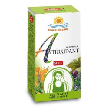 Antioxidant, 60 capsule, Fares