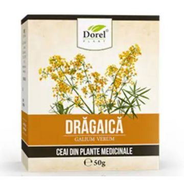 Ceai De Dragaica (sanziene) 50g - DOREL PLANT