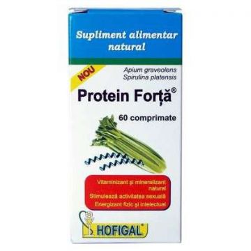 Protein Forta Hofigal 60 comprimate (Concentratie: 667 mg)