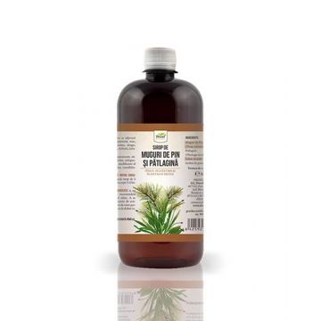 Sirop din muguri de pin si patlagina, 500 ml, Dorel Plant