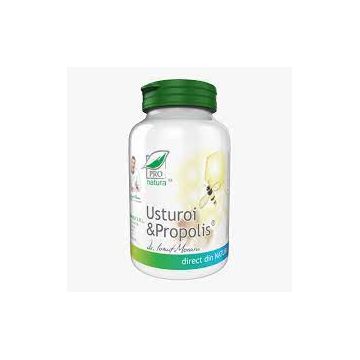 Usturoi & propolis Pro Natura, 60 capsule