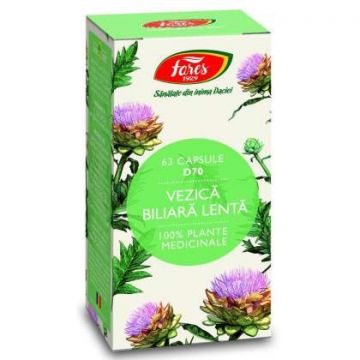 Vezica Biliara Lenta Fares 63 capsule (Concentratie: 320 mg)