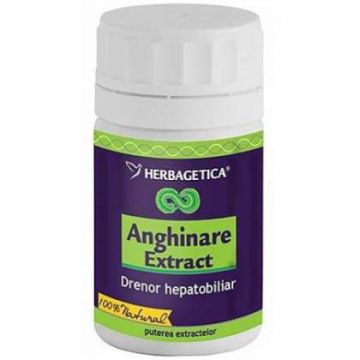 Anghinare Extract (Concentratie: 300 mg)