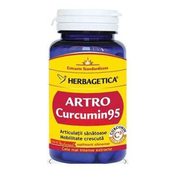 Artro Curcumin95 Herbagetica capsule (Ambalaj: 30 capsule, Concentratie: 390 mg)