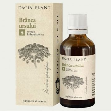 Branca Ursului Tinctura Dacia Plant (Gramaj: 200 ml)