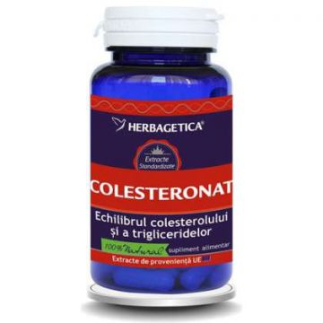 Colesteronat Herbagetica capsule (Ambalaj: 120 capsule, Concentratie: 350 mg)