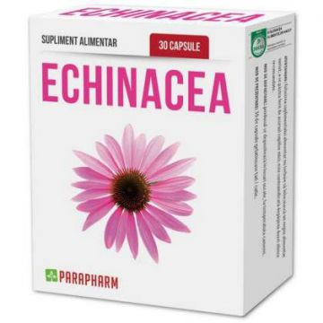 Echinacea 100 mg Parapharm 30 capsule (Concentratie: 100 mg)