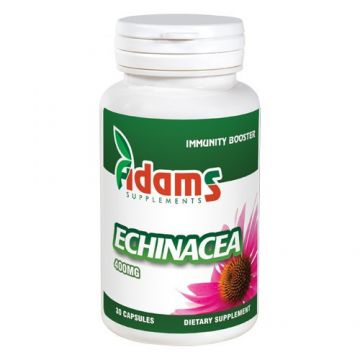 Echinacea 400mg (Gramaj: 90 capsule)