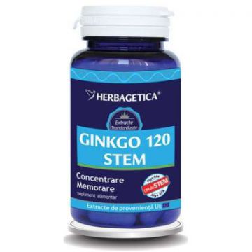 Ginkgo 120 Stem Herbagetica capsule (Ambalaj: 120 capsule, Concentratie: 400 mg)