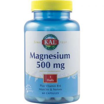 Magnesium 500 mg SECOM KAL 60 capsule (TIP PRODUS: Suplimente alimentare, Concentratie: 500 mg)