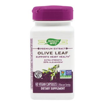 Olive Leaf (Maslin) SECOM Natures Way 60 capsule (Concentratie: 60 capsule)
