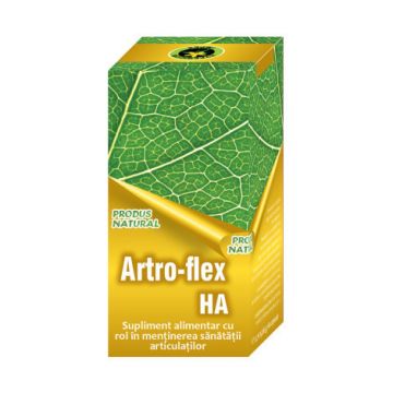 Artro Flex HA Hypericum, 60 capsule (Ambalaj: 60 capsule)