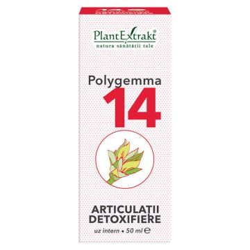 Polygemma 14 (Articulatii detoxifiere) PlantExtrakt 50 ml