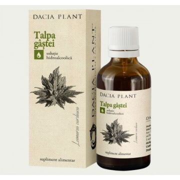 Tinctura de Talpa Gastei Dacia Plant 50 ml