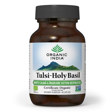 Tulsi (Busuioc Sfant) Minte Calma & Ingrijire Sistem Respirator Organic India