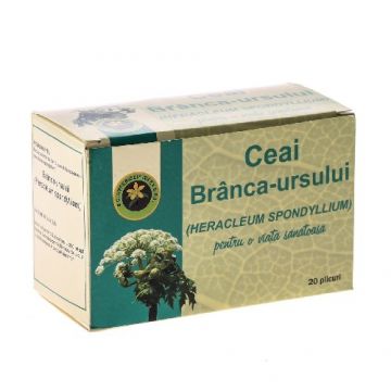 Ceai Branca Ursului 20dz Hypericum Ceai Branca Ursului 20dz Hypericum