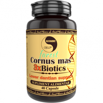 Cornus mas 3xBiotics 40cps Cornus mas 3xBiotics 40cps
