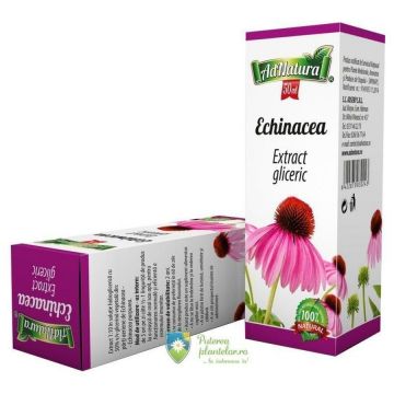 Echinacea Extract Gliceric 50 ml