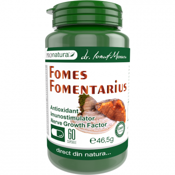 Fomes Fomentarius 60cps Fomes Fomentarius 60cps