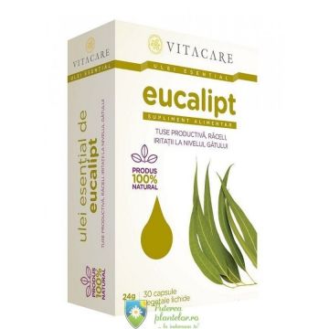 Ulei esential de Eucalipt 30 capsule